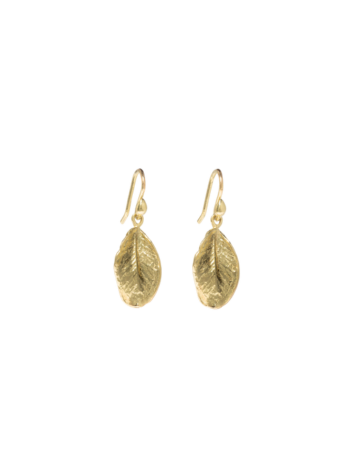 Boxwood leaf earrings photo