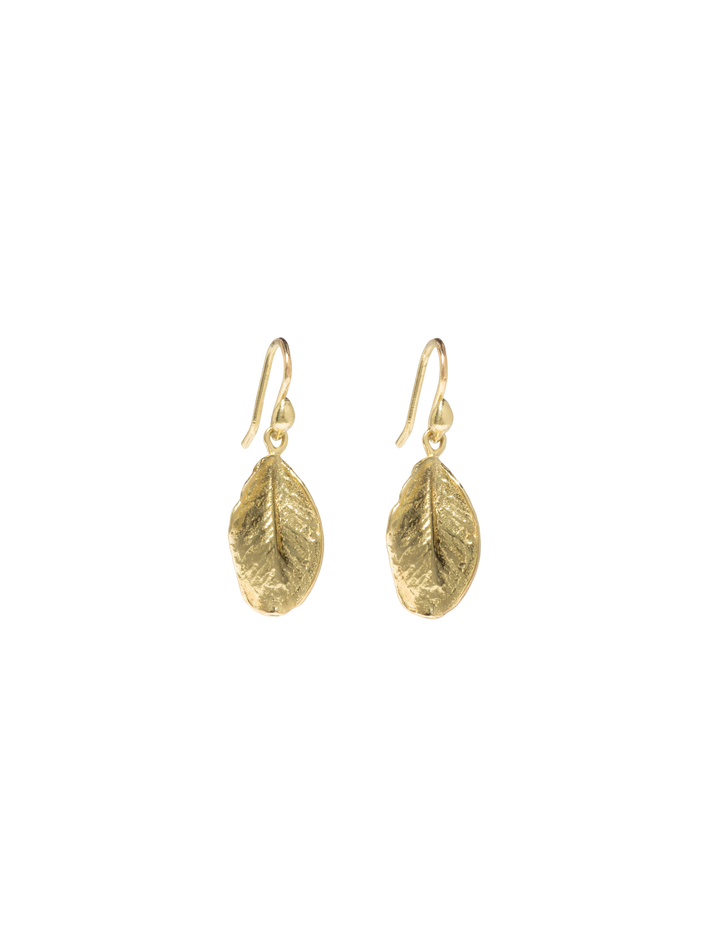 Boxwood leaf earrings