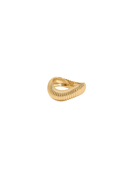 Demi Coil Ribbed Band Ring photo