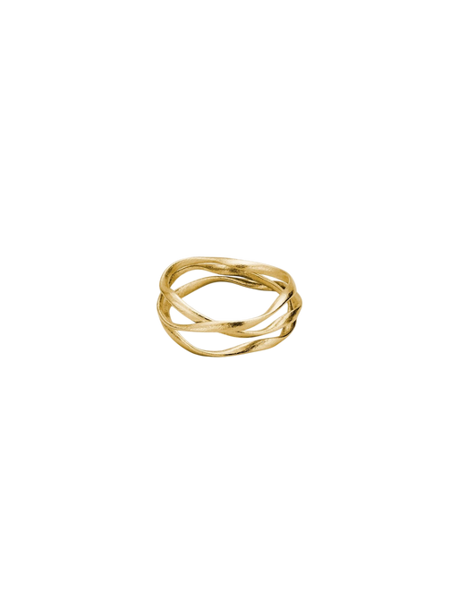 Flair ring no3 thin in 18 kt gold photo