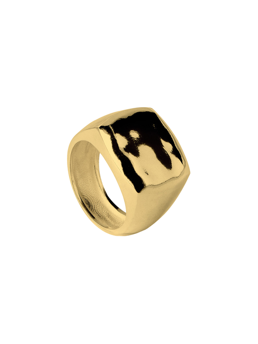 Credo ring 04 gold plated silver photo