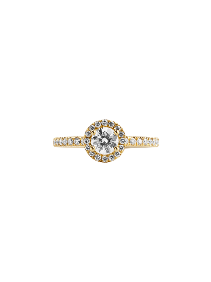 Solitaire absolu.e couronne 0.5ct pavé - 18k yellow gold