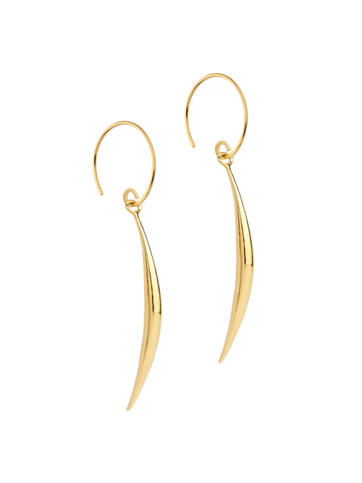 Golden tusk earrings photo