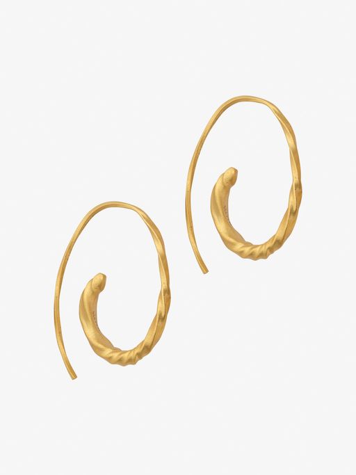 Small flow asymmetric hoops photo