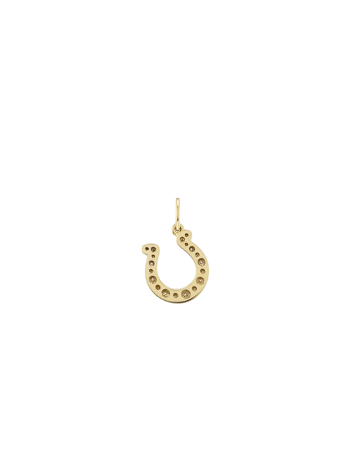 Large Studded Horseshoe WD photo