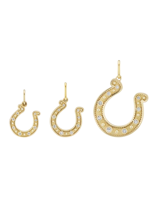 Mini Pave Horseshoe WD photo