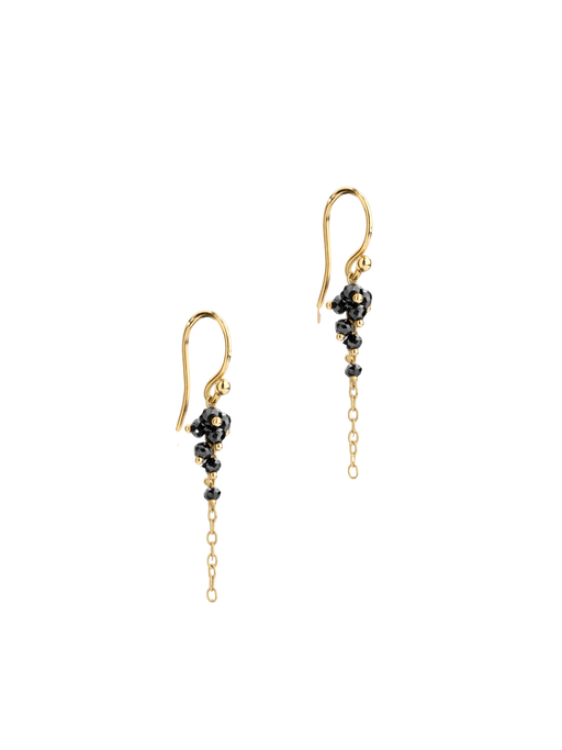 Eton black diamond earrings photo