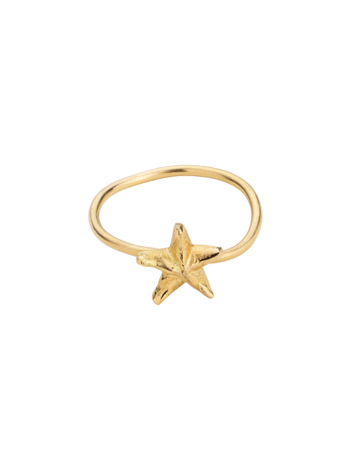 Starfish wave ring photo