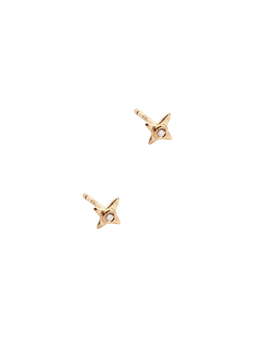 The sitaara earrings  photo