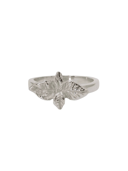 Basil - good wishes in silver photo