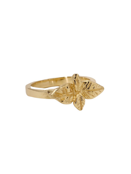 Basil - good wishes in gold photo