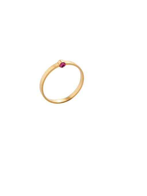 Cassini ring in ruby photo