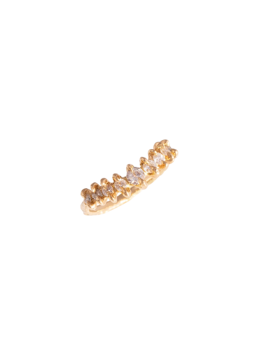 Gladiolus diamonds photo