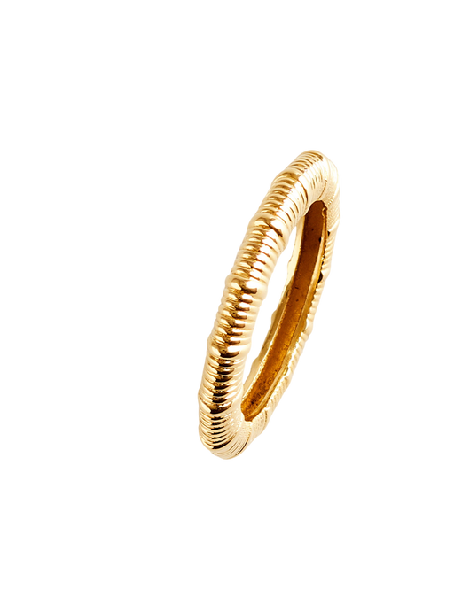 Vertical textured mini ring photo