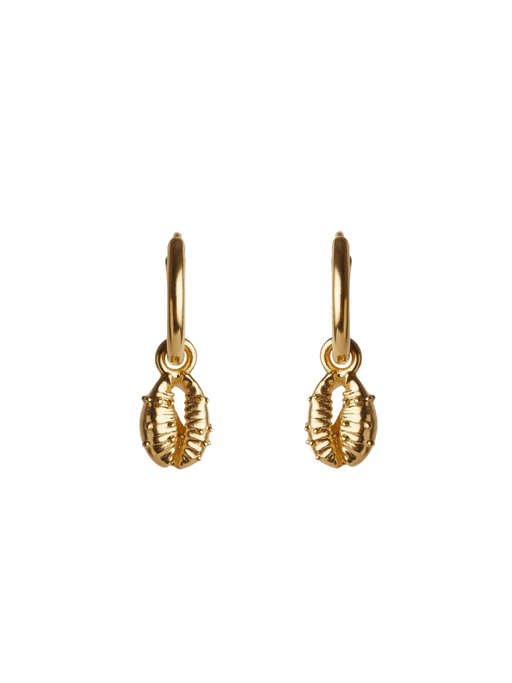 Aphrodite mini hoop earrings gold photo