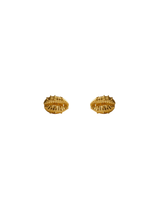 Aphrodite stud earrings gold photo