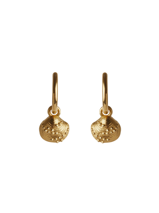 Calypso mini hoop earrings gold photo