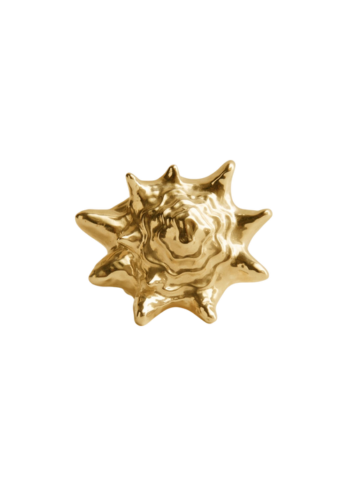 Queen conch ring gold  photo