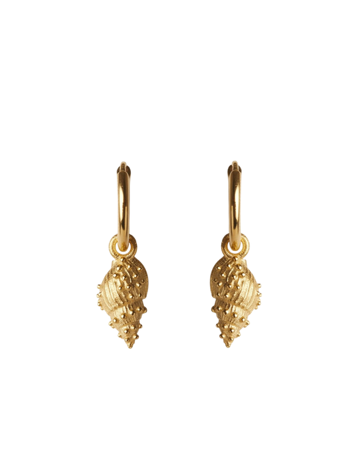 Thalassa mini hoop earrings gold photo