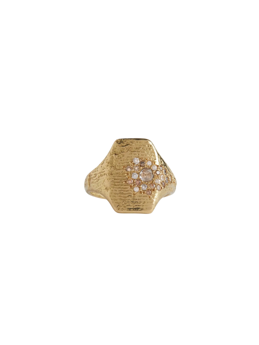 Cuttlefish Cast Golden Shield Signet photo