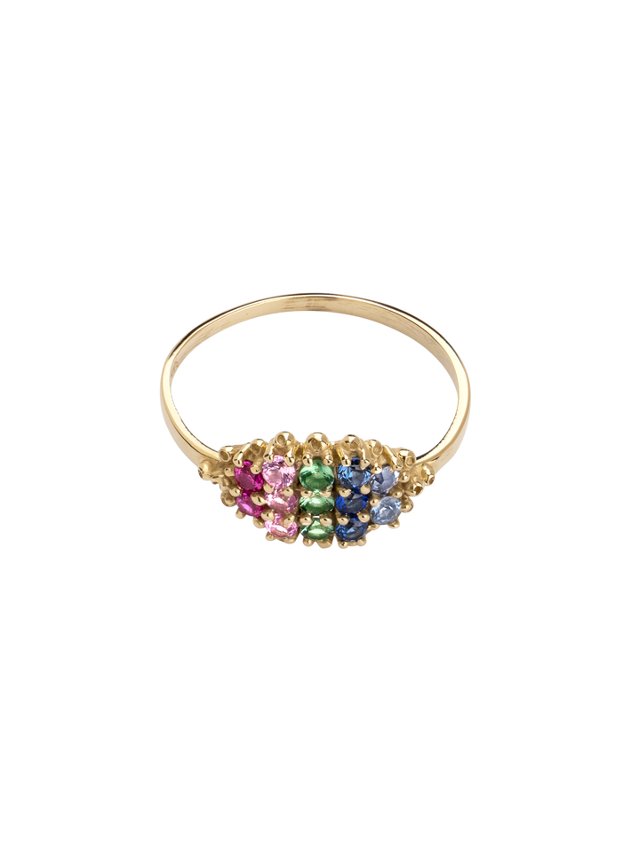 Fereastra spring ring