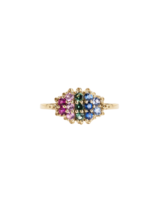 Fereastra spring ring photo