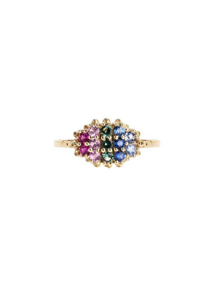 Fereastra spring ring