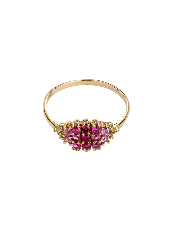 Fereastra ombre pink ring