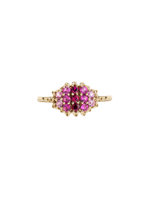 Fereastra ombre pink ring photo