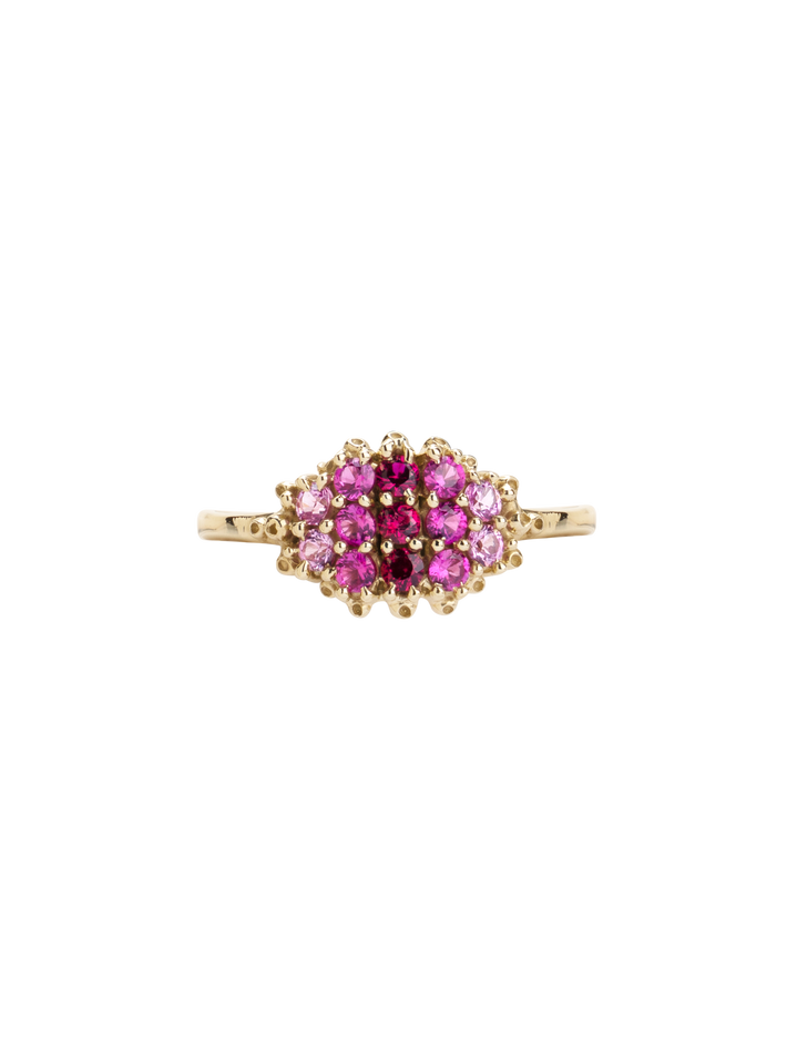 Fereastra ombre pink ring