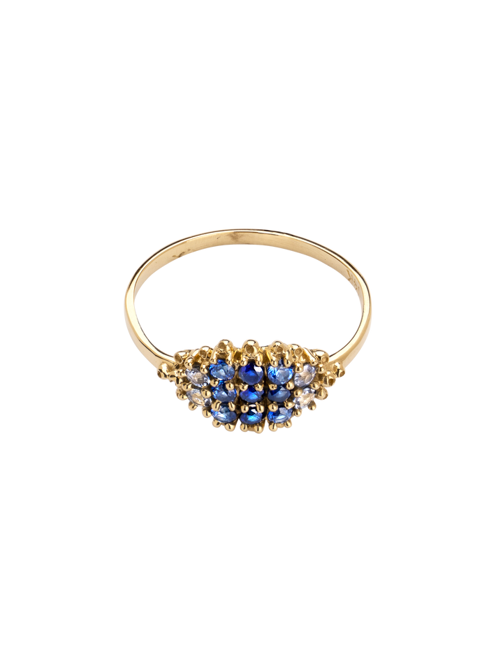 Fereastra ombre blue ring