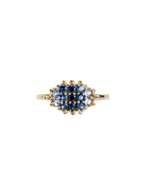 Fereastra ombre blue ring photo