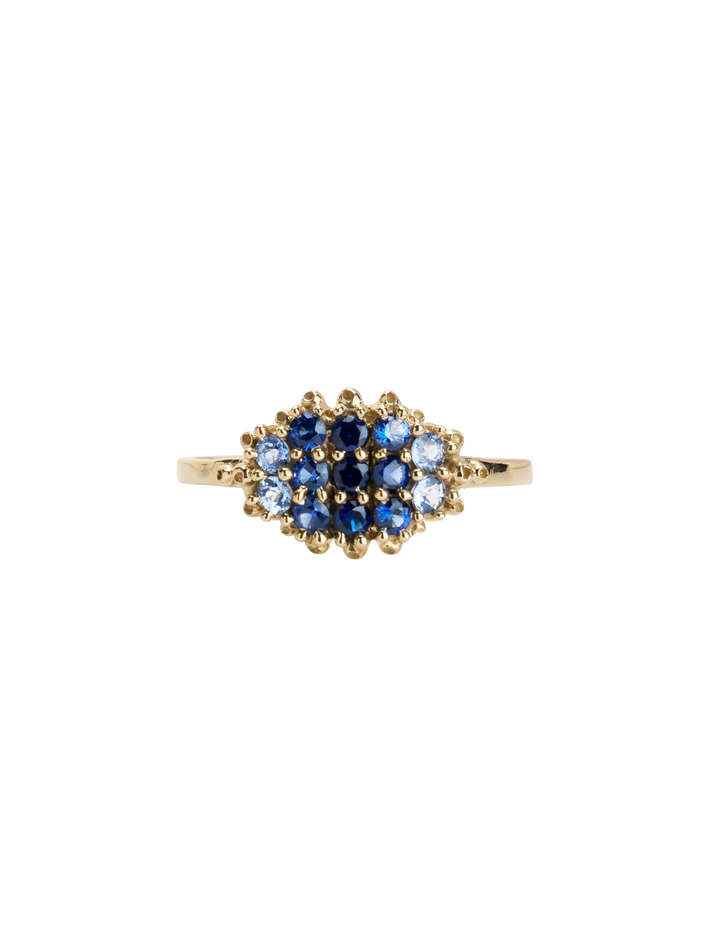 Fereastra ombre blue ring