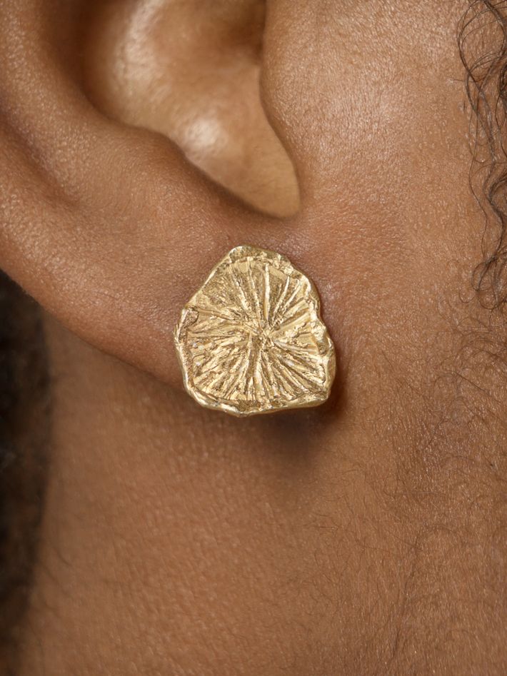 The lamella earrings