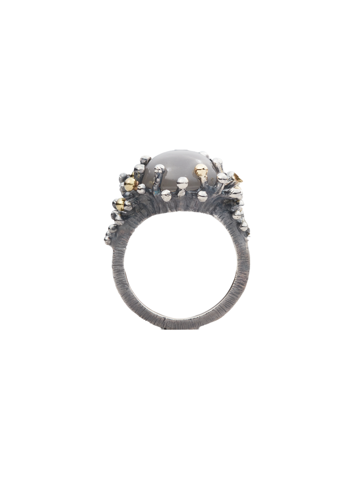 Sea anemone ring in oxidized silver and 18k yellow gold with gray moonstone