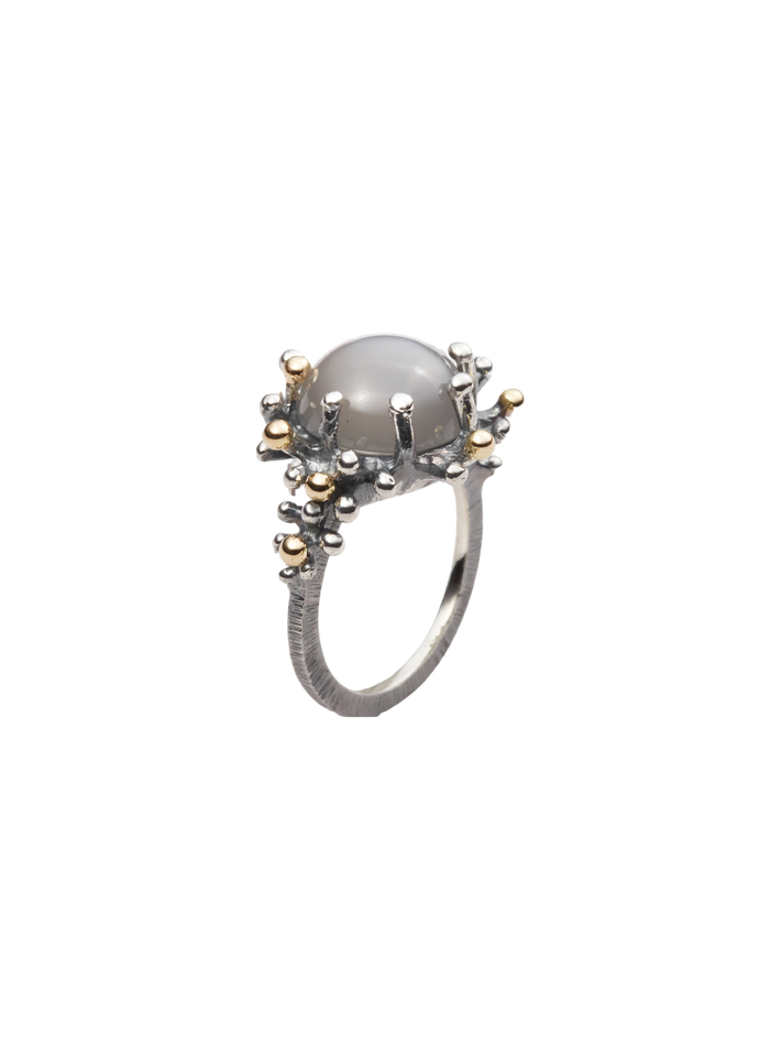 Sea anemone ring in oxidized silver and 18k yellow gold with gray moonstone