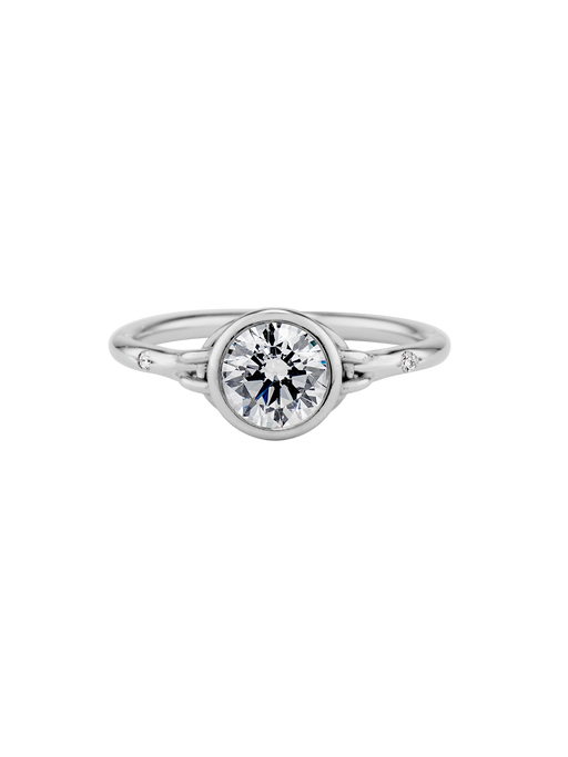Suspended in time ring round photo