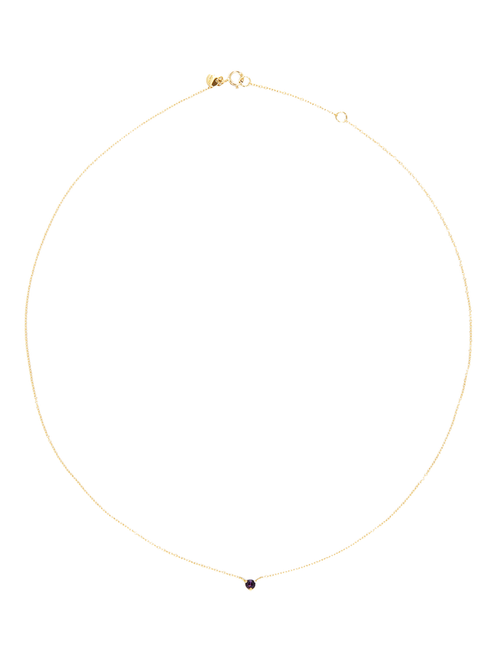 Birthstone amethyst necklace