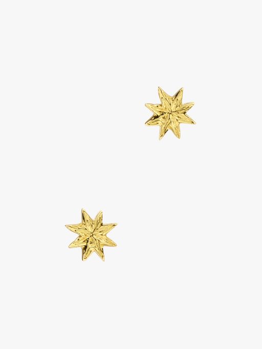 Star burst studs photo