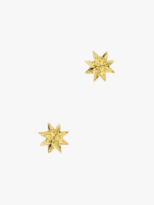 Star burst studs photo