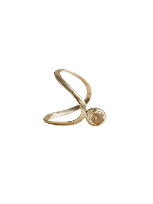 Libellule gold ring photo