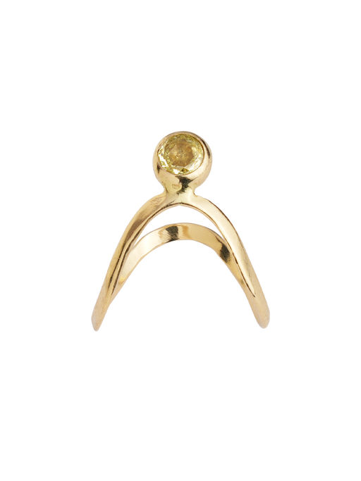 Libellule gold ring photo