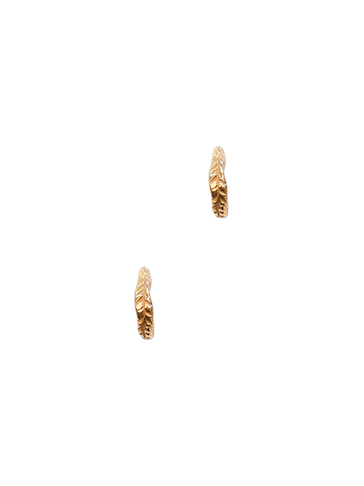 Crooked fern mini hoop earrings